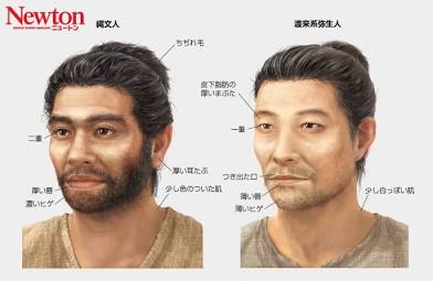 縄文人と弥生人の頭骨・特徴比較, AI generated