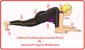 Sanskruti Yoga Meditation Utthan Pristhansana Lizard Pose Lizard Pose Poses Yoga