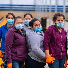 Our blooms come direct from the grower so last for ages. About Bloomia