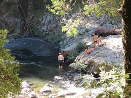 Either way, the end game is the same. San Jose Visitor Falls To His Death In Garden Of Eden Swimming Hole Press Banner Scotts Valley Ca
