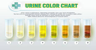 What Can The Color Of Urine Say About Your Health