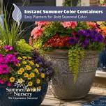 Instant Summer Color Containers: Easy Planters...