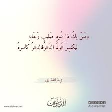 الديوان موسوعة الشعر العربي توبة الخفاجي Arabic Calligraphy Poet Calligraphy