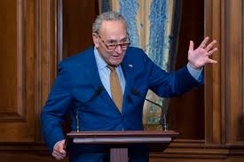 Both jessica and alison were born to chuck's longtime wife. Chuck Schumer Wife Net Worth
