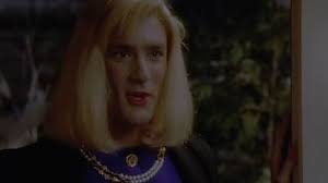 Picket Fences (TV Series 1992–1996)