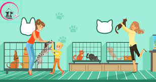4,253 likes · 94 talking about this · 38 were here. Paws Whiskers Pets Nursery Home Facebook