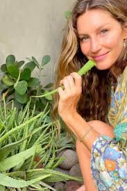 Jus d'aloe vera : j'en bois tous les matins, et je vous explique tous ses  bienfaits