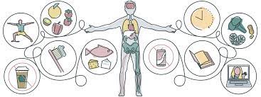 How To Improve Your Immune System Function During The Covid 19 Pandemic It S About Balance Not A Boost
