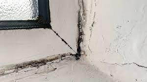 The same goes for mold in the window track. Top Tips To Stop Mould Around Windows Abelglass