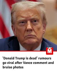 This is Aidan Bowles, a 71-year-old Irishman who was tragically killed as  Hurricane Helena ripped through Florida over the weekend 😢 Aidan's son Sam  paid an emotional tribute to his dad on