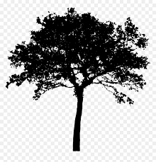 Maybe you would like to learn more about one of these? Tree Silhouette Clip Art Vector Tree Silhouette Png Transparent Png Vhv