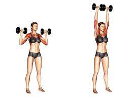 So findet man die nützlichen trainingshelfer zum beispiel im fachhandel ebenso, wie etwa bei. Hanteltraining Frauen Top 6 Ubungen Bilder Videos