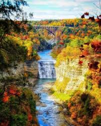National park puzzles cavallini \u0026 co. Solve Letchworth State Park Ny Jigsaw Puzzle Online With 208 Pieces