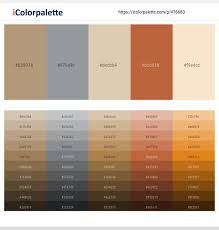 27 of the best new color combinations for 2021. 170 Latest Color Schemes With Rosy Brown And Antique White Color Tone Combinations 2021 Icolorpalette