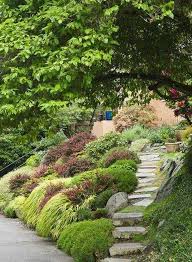 Pin On Japanese Garden