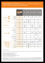 47 Competent Pet Medication Chart