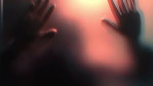 Guennadi Ulibin Proyecto artistico Amazona Parte 130 - YouTube