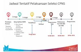 Persiapan Teknis Pelaksanaan Penerimaan Cpns 2018 Resmi 19 September 2018 Belajar Tanggal