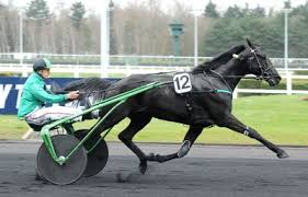 Epingle Sur Sulky