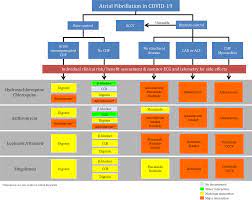 Myasthenia gravis results from an autoimmune attack on postsynaptic acetylcholine receptors, which disrupts neuromuscular transmission. Guidance On Short Term Management Of Atrial Fibrillation In Coronavirus Disease 2019 Journal Of The American Heart Association