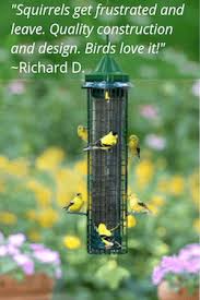 Don't miss the update at the end!! How To Squirrel Proof Bird Feeders Wild About Birds