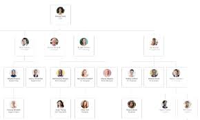 7 Best Org Chart Software For 2019