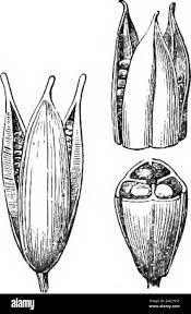 Teachers manual hi-res stock photography and images - Page 10 - Alamy