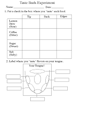 Sense Of Taste Activities Room Preparation Teacher Survival Science For Kids Anatomy Education