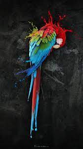 If you have one of your own you'd like to share, send it to us and we'll be happy to include it on our website. Free Iphone Wallpapers Photo Illustration Parrots Art Bird Art Parrot Wallpaper