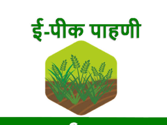 ई-पीक पाहणी नोंदणी 100 टक्के मोफत; अफवांवर विश्वास ठेवू नयेतलाठी राजीव सानप व कृषी सहायक सचिन भालशंकर यांचे स्पष्टीकरण; शेतकर्‍यांनी स्वयं-नोंदणीचा लाभ घेण्याचे आवाहन