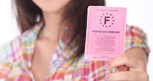 Maybe you would like to learn more about one of these? Suspension Invalidation Ou Annulation Du Permis De Conduire Comment Le Recuperer