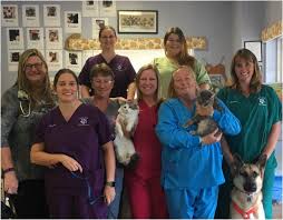 19046 brookhurst st (garfield) huntington beach, ca 92646 amerika serikat. All City Pet Hospital Off 56 Www Usushimd Com