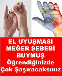 el uyusmasi meger sebebi buymus nefis lezzetler sitesi 2021 formda kal saglik dogal saglik