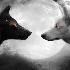 Black And White Wolf Tattoo Black And White Wolf Wallpaper Engine Wolf Wallpaper White Wolf Tattoo White Wolf