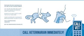 Pet Cpr Aed Superstore Blog