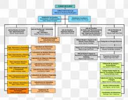 hierarchical organization organizational structure business