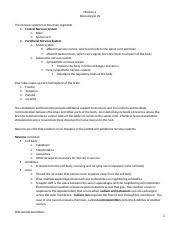 Neurological Part 1 Ati Pharmacology Made Easy 3 0 Neurological Part 1 Parts Of The Nervous System Central Nervous System Brain And Spinal Cord 4 Course Hero