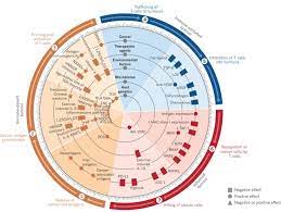 You might be a candidate for genetic testing to see whether. Elements Of Cancer Immunity And The Cancer Immune Set Point Nature