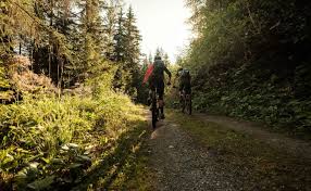 Uconn men's basketball to celebrate gampel's 30th anniversary on feb. Lunggi Trail Biken Im Wallis Mountainbike Touren In Eischoll Wallis Schweiz
