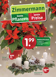 Beilage November 2 2017 Pflanzencenter Zimmermann By