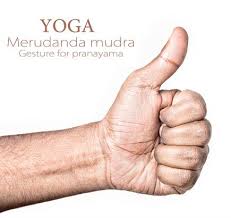 Pin On Mudras