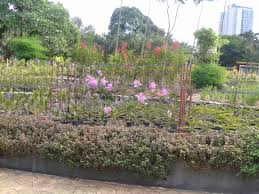Hotels near jalan masjid india. Taman Orkid Kl The Royal Orchard