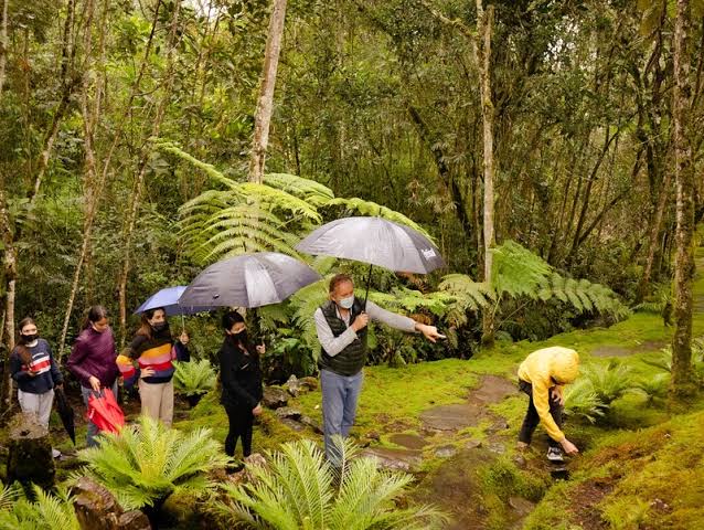 Alma del Bosque – Al Compás de Antioquia | Turismo Cultural y Comunitario en 17 Municipios