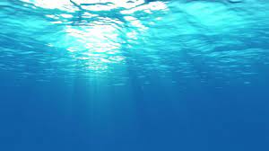 Pin By Shahriar Nazim On Moodboard For Egd Ia1 Underwater Wallpaper Ocean Wallpaper Ocean Underwater