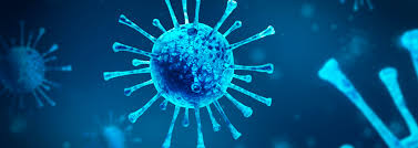 Sebastián piñera realizó nuevos anuncios sobre las medidas que tomará el régimen por el avance del coronavirus en chile, el que registra 238 contagios en el país. Prorroga El Estado De Excepcion Constitucional De Catastrofe Hasta El 30 De Junio De 2021 Doe Actualidad Juridica