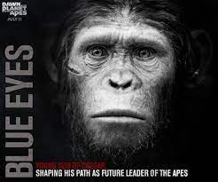 Dawn Of The Planet Of The Ape Planet Of The Apes Dawn Of The Planet Apes