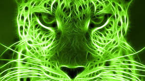 The neon animal wallpapers app compiles a massive collection of free stunning animal. Cool Cat Lime Green Wallpaper Green Animals Green Pictures