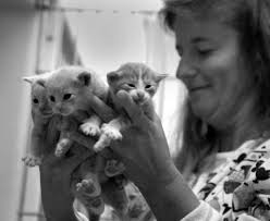 LAFOLLETTE PRESS • SECTION D