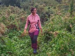 Strečové dílce na kolenou, v sedu a na bocích zajišťují výjimečné pohodlí. Review Revolutionrace Broek Nordwand Pro Pants Women Purple Rain Outdoordichtbij Nl