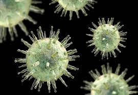 Ebv is found all over the world. Battling Epstein Barr Virus Times Higher Education The